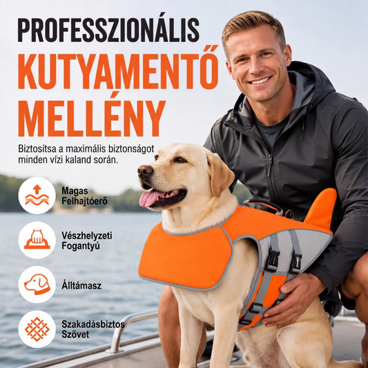 Úszómellény háziállatoknak – a háziállatok biztonságának garantálása