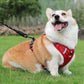 🦮Húzásgátló kutyapóráz háziállatoknak