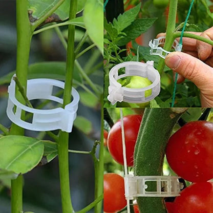 💥 Műanyag növénykötözők - növények rögzítéséhez🌱🍅