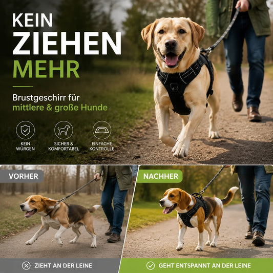 🐕 Húzásgátló póráz minden kutya számára