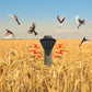 🌾50% OFF NOW! Waterproof Solar Outdoor Bird Repeller‑Timing Ultrasonic Bird Deterrent, Solar‑Powered Bird Scarer for Garden Orchard Crop Protection