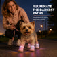 🐕👟Stílusos lélegző kutyacipők LED-es világítással