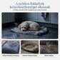 🐶 Cserélhető, ovális, polárból és oxfordi szövetből készült kisállatágy, macskáknak és kutyáknak egyaránt alkalmas