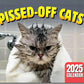 😼📅 2027-es vicces mérges macska fali naptár: Minden nap egy új hiszti – búcsú az unalmas hétköznapoktól! 🎁🐾
